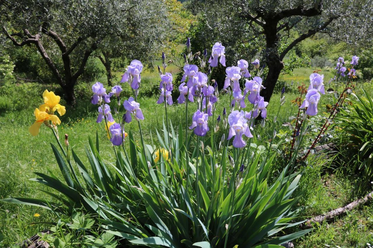Bed & Breakfast Casa Lisetta Valtopina Экстерьер фото